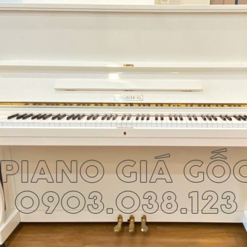 Đàn piano cơ E. Grieg B22E năm 1980