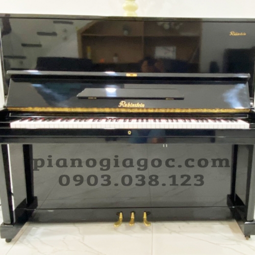 Đàn Piano Upright Rubinstein A250